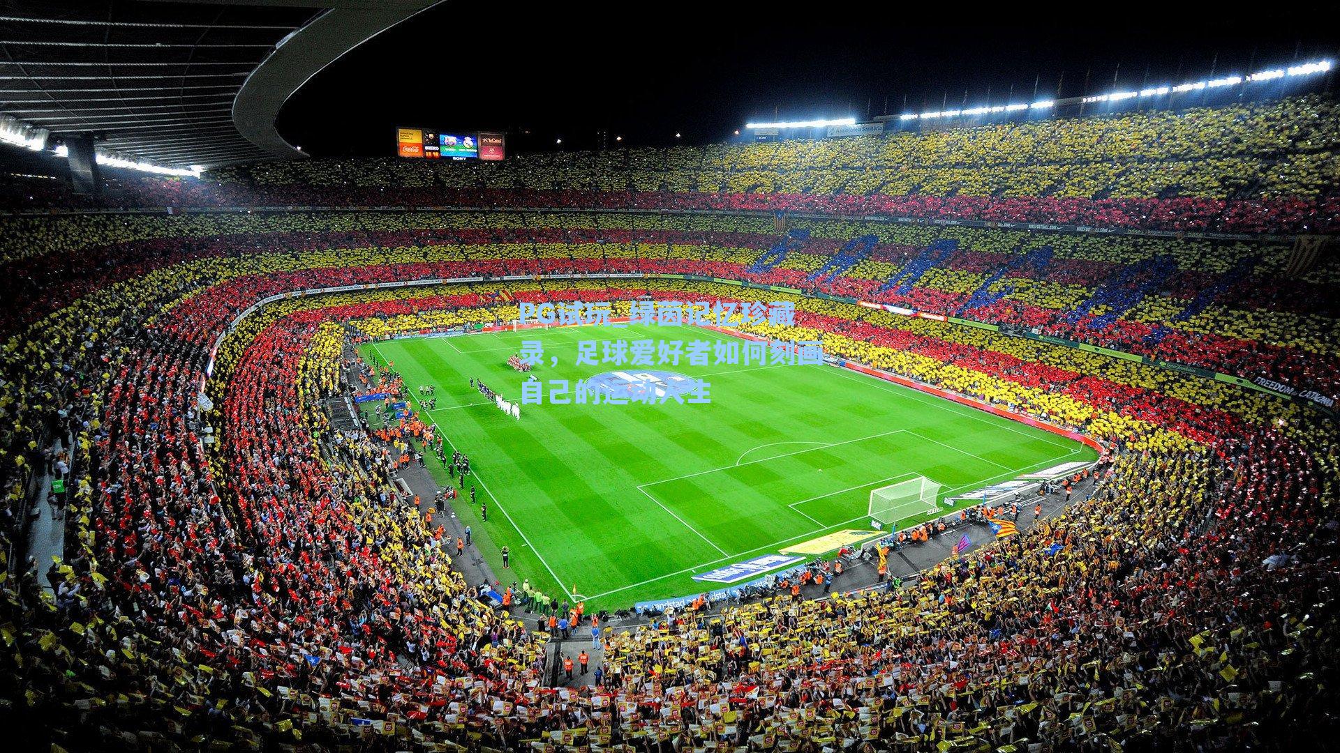 绿茵记忆珍藏录,足球爱好者如何刻画自己的运动人生