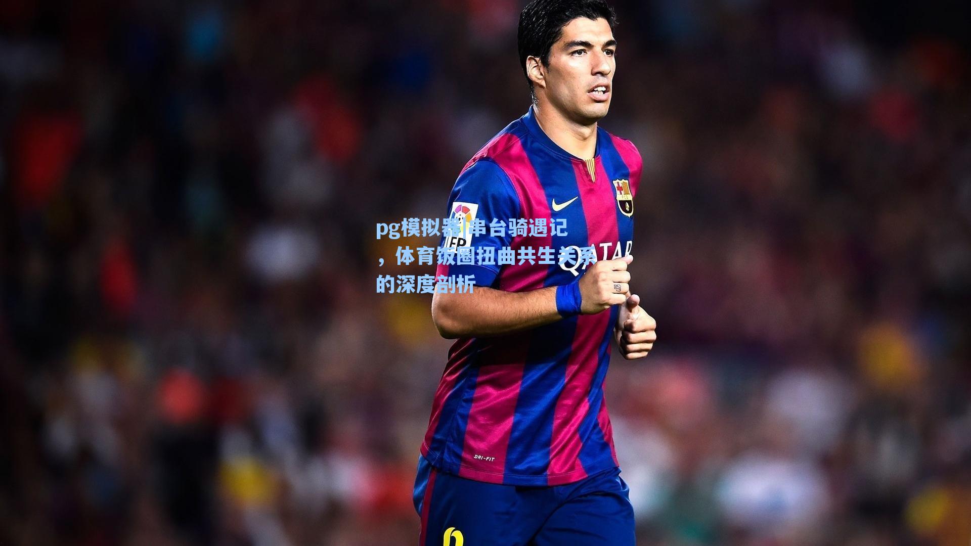 串台骑遇记,体育饭圈扭曲共生关系的深度剖析